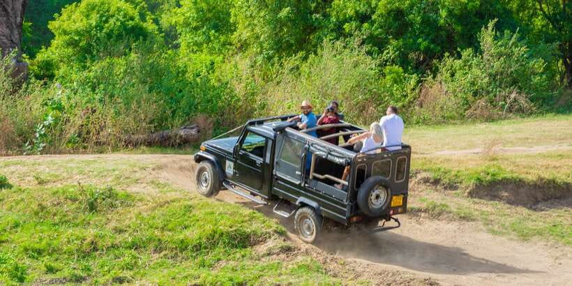 Minneriya: Minneriya National Park Private Safari - Should you book the Minneriya private safari?