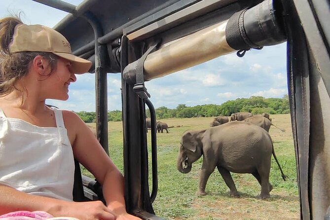 Minneriya National Park Elephant Jeep Safari Private Tour - Key things to know before you go