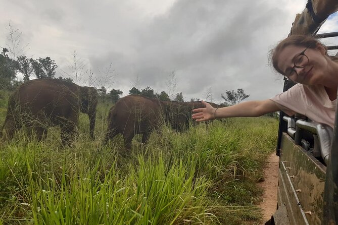 Minneriya National Park Elephant Jeep Safari Private Tour - Minneriya and the elephant reasons people come