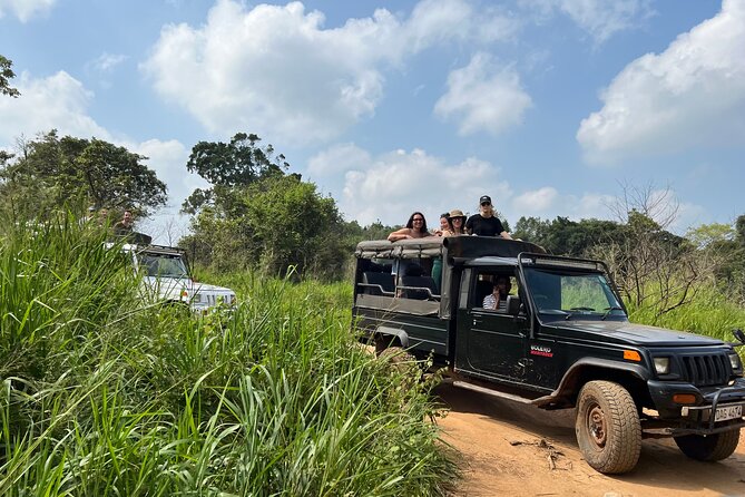 Minneriya National Park Elephant Safari from Sigiriya - The Sigiriya bonus: distant Rock Fortress views and site entry costs