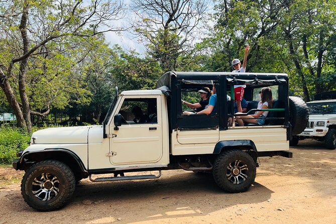 Minneriya National Park Elephant Safari from Sigiriya - What to expect on the ground, from start to sunset moods
