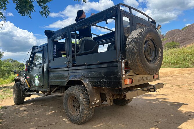 Minneriya National Park Elephant Safari from Sigiriya - Pickup, timing, and what a 4x4 jeep changes for viewing