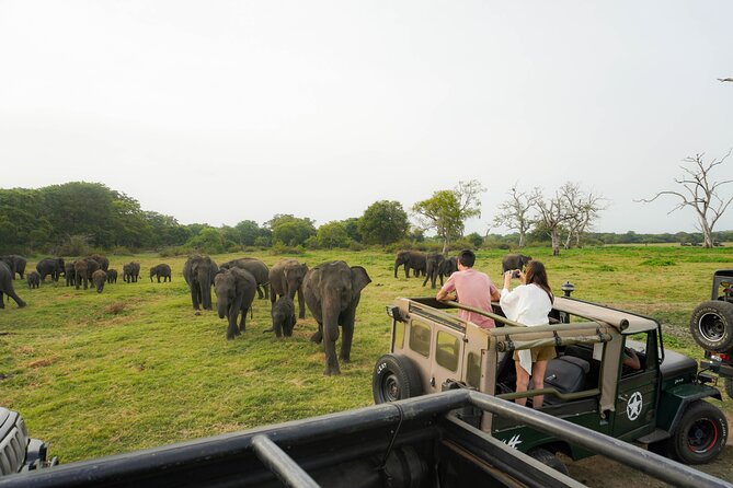 Minneriya National Park Half Day Elephant Safari - Where Minneriya Fits Into Your Sri Lanka Half-Day Plans