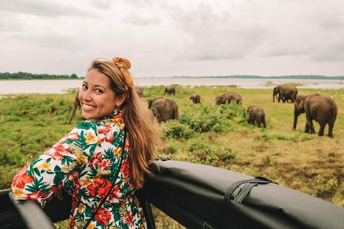 Minneriya National Park | Private Safari - Price and value: what $25 buys, and what you still need to pay
