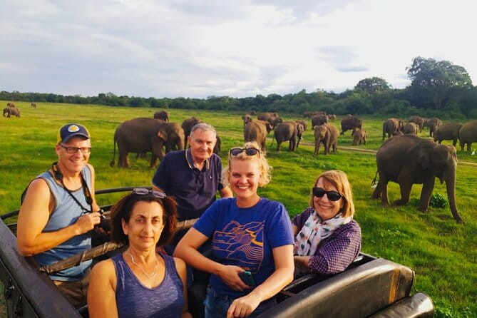 Minneriya National Park Safari [private , full package] - Key things that make this Minneriya safari worth your time