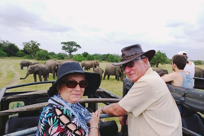 Minneriya National Park Safari [private , full package] - Price and value: what $100 per person is really buying