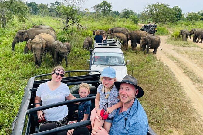 Minneriya National Park Safari - Private Jeep with Hotel Pickup - Minneriya Elephant Safari, why this 4-hour ride matters