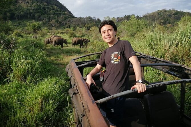 Minneriya National Park Safari - Private Jeep with Hotel Pickup - Private Jeep with Hotel Pickup, how the day actually runs