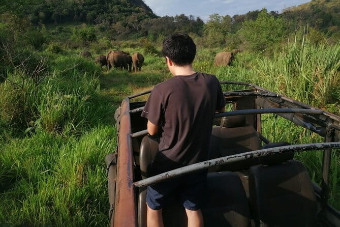 Minneriya National Park Safari - Private Jeep with Hotel Pickup - Minneriya Park, the big elephant gathering you came for
