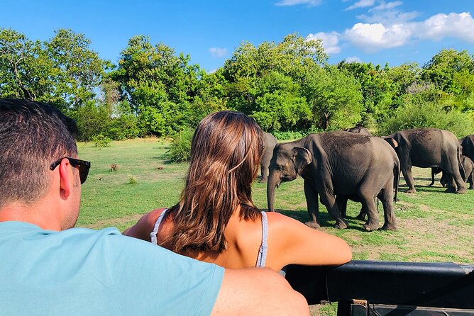 Minneriya National park Safari Sri Lanka - Comfort details that make a safari day easier