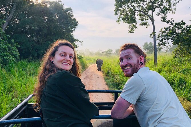 Minneriya National park Safari Sri Lanka - Tickets, timing, and how to keep the day smooth