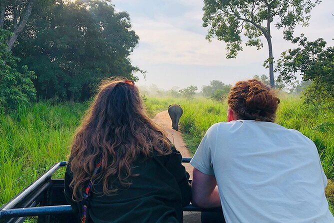 Minneriya National park Safari Sri Lanka - Who should book this Minneriya safari?