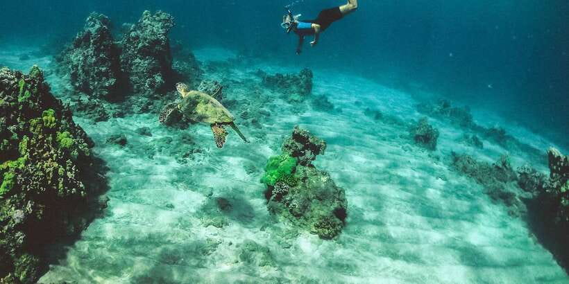 Mirissa: Snorkeling Experience with Turtles - From Mirissa Pickup to Kotapola Setup: The Start You Want