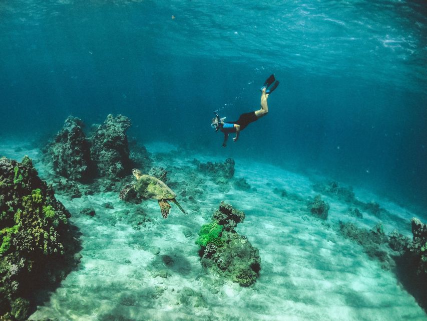 Mirissa: Snorkeling Experience with Turtles - The Boat Ride Out: Small Moments That Set the Tone