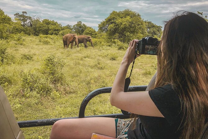 Mirissa to Ella Shuttle & Udawalawe Safari Drive with Breakfast - How This 8-Hour Mirissa to Ella Shuttle Really Feels