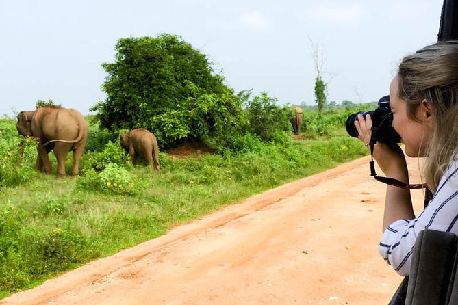 Mirissa to Ella Shuttle & Udawalawe Safari Drive with Breakfast - The Transfer Part: Dropped in Ella, Haputale, or Bandarawela