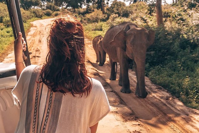 Mirissa to Ella Shuttle & Udawalawe Safari Drive with Breakfast - Who Should Book This Combo Tour (and Who Might Skip It)