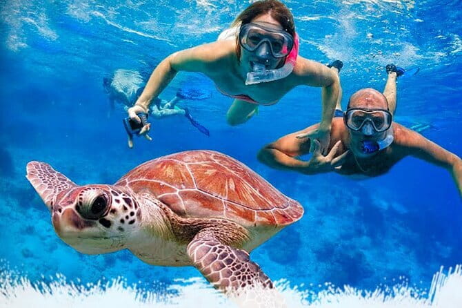 Mirissa Unforgettable Snorkeling Experience with Turtles - Key highlights at a glance