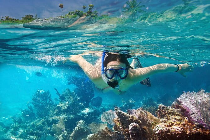 Mirissa Unforgettable Snorkeling Experience with Turtles - Turtle-watching tips that actually help (and don’t ruin the vibe)