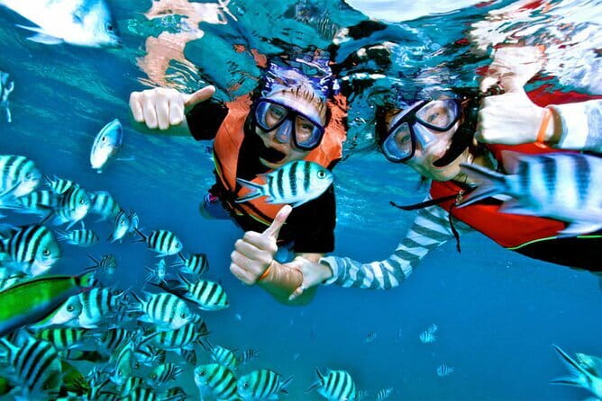 Mirissa Unforgettable Snorkeling Experience with Turtles - Price and value: what $24 buys you, and what it doesn’t