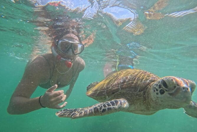 Mirissa Unforgettable Snorkeling Experience with Turtles - From Mirissa pickup to freshwater rinse: the 2-hour rhythm
