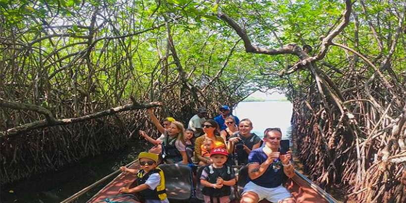 Mirissa/Weligama/Galle: Galle & Bentota Coastal Day Tour - Pickup and transport along the Mirissa, Weligama, Unawatuna, and Galle corridor