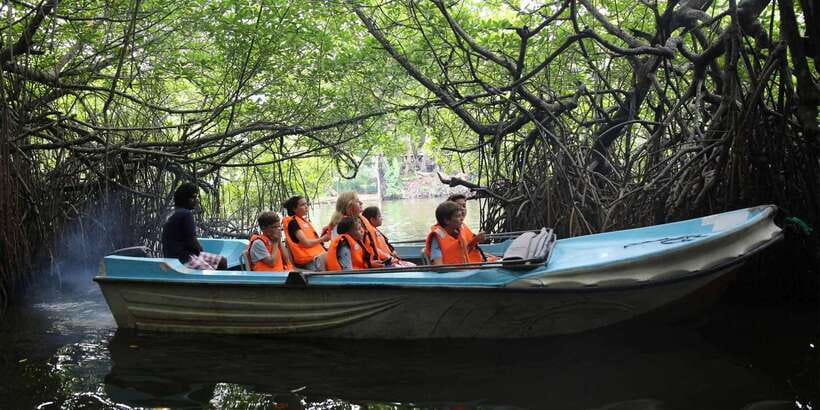 Mirissa/Weligama/Galle: Galle & Bentota Coastal Day Tour - Price and value: what the $57 covers, and what comes extra