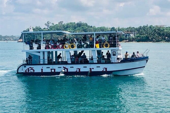 Mirissa Whale & Dolphin Watching Cruise with Geeth’s Crew - Key Highlights You Will Actually Care About