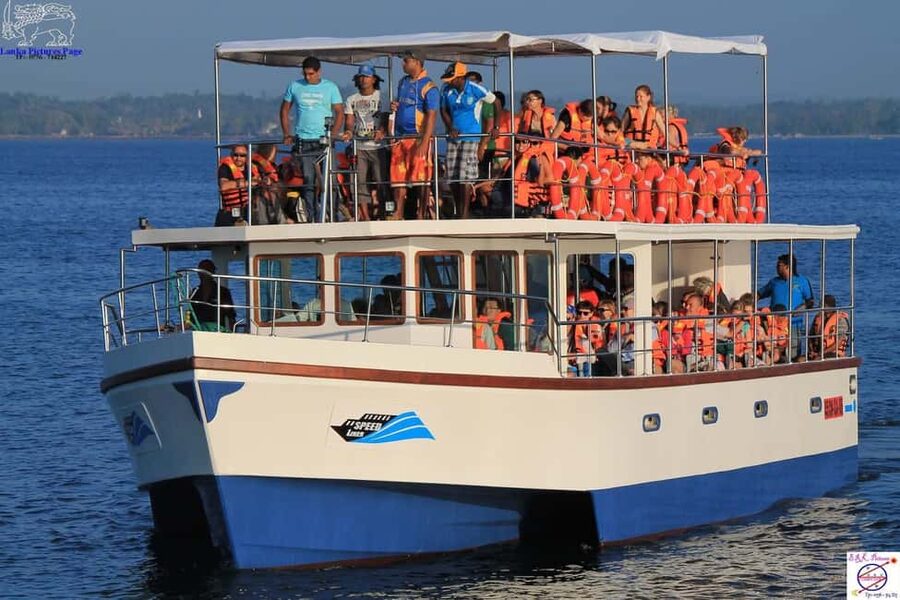 Mirissa: Whale & Dolphin Watching Trip with Private Transfer - How the Mirissa Whale Search Day Really Works (Early Pickup to 7am Sail)