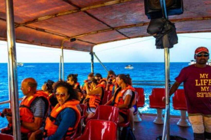 Mirissa: Whale Watching Cruise - Key things to know before you go