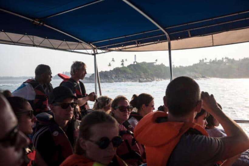 Mirissa: Whale Watching Cruise - What you might see off Mirissa: whales, dolphins, and the photo moment