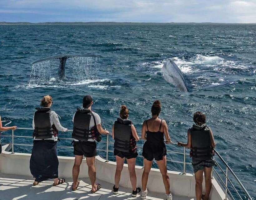 Mirissa: Whale Watching Cruise - The 6-hour rhythm: what a half-day at sea feels like