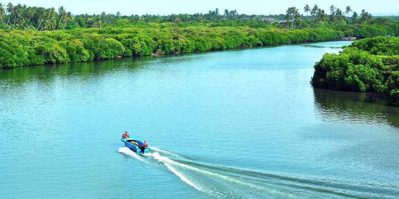Muthurajawela Bird Watching Tour from Negombo and Colombo - Visitor Center start: a brief setup that helps you spot more