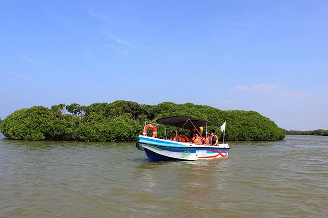 Muthurajawela Bird Watching Tour from Negombo / Colombo - Key Points to Know Before You Go