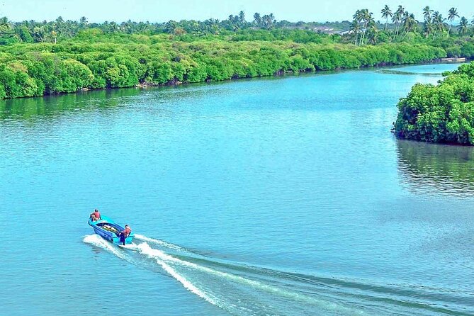 Muthurajawela Bird Watching Tour from Negombo / Colombo - The 7:00 AM Start, Tuk Tuk Pickup, and What Makes the Logistics Easy