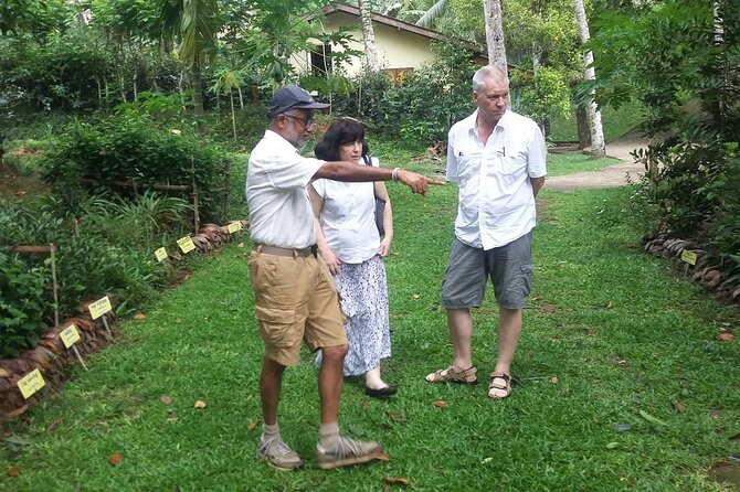 Nandana Tea Walking Tour in Sri Lanka - Optional organic meal: a local finish, not a tourist sandwich
