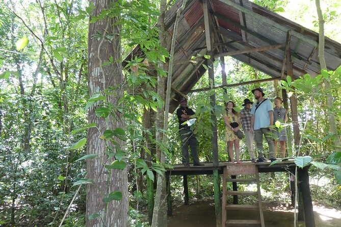 Nandana Tea Walking Tour in Sri Lanka - Price and value: how $78 stacks up for a 2-hour tour