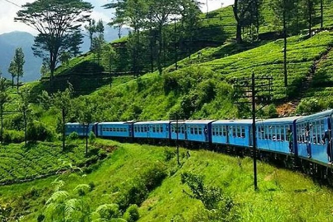 Nanu Oya to Ella train ride on (Train No: 1005 "Podi Menike") - Key Things I’d Book for on This Ride