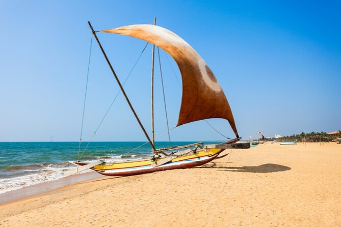 Negombo city tour by Tuk Tuk Hotel Pickup & Guide - Key highlights before you go