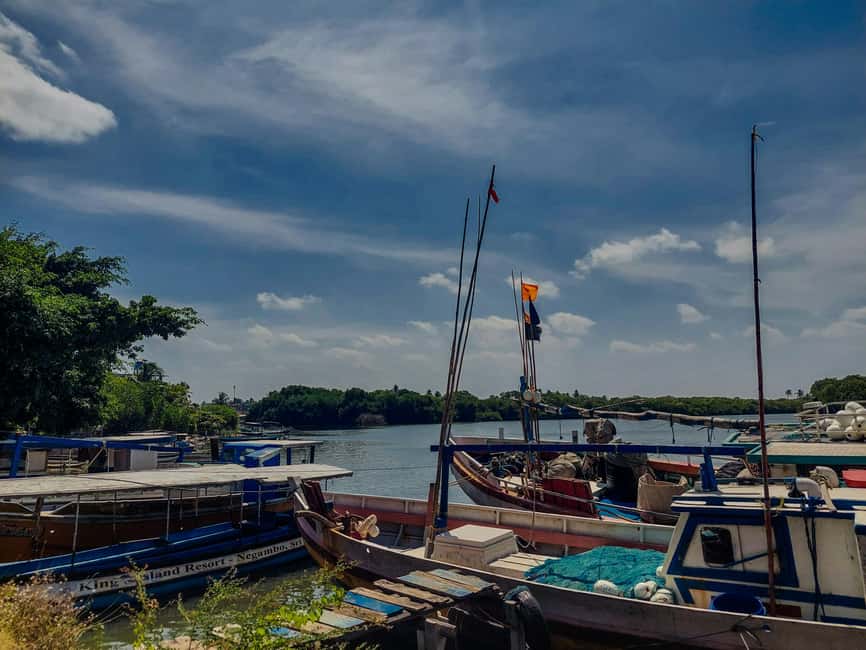 Negombo & Colombo: Full-Day Tour with Lunch - Price and value: is $57 a good deal for all this?