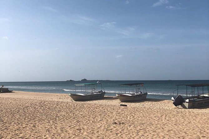 Negombo Day Tour - Key highlights worth your attention