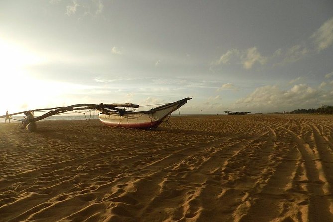 Negombo Day Tour - Negombo Fishery Harbour: See the Coast, Then the Sellers