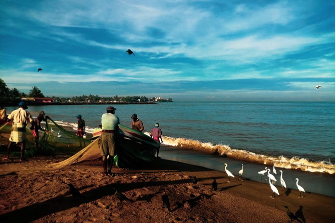 Negombo Day Tour - Pickup and Mobile Ticket: The Easy Start You Want