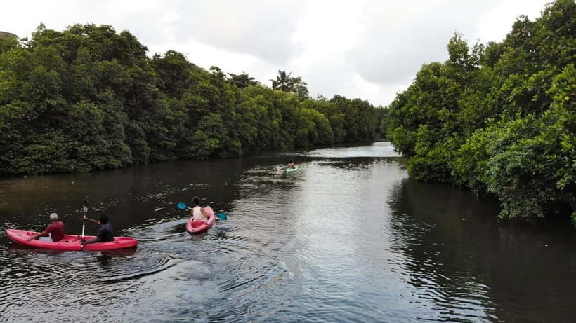 Negombo: Guided Kayaking Tour in the Lagoon - Key things that make this Negombo kayaking trip worth your time
