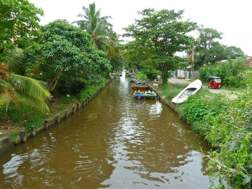 Negombo: Hamilton Canal to Colombo by Boat via Muthurajawela - Key things I’d plan around