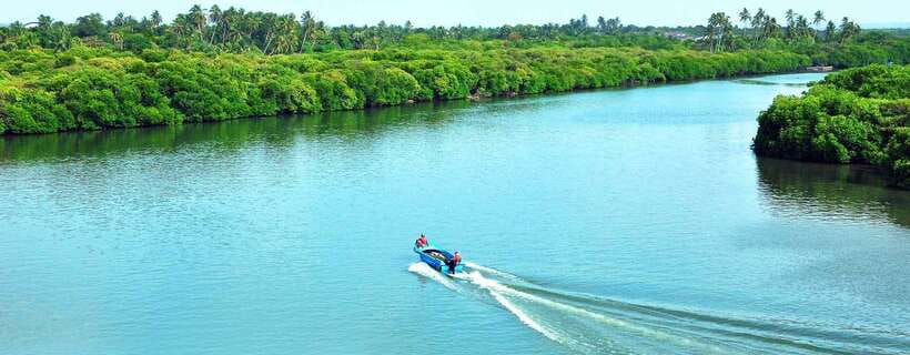 Negombo: Hamilton Canal to Colombo by Boat via Muthurajawela - Why the Dutch Canal route feels special in Negombo