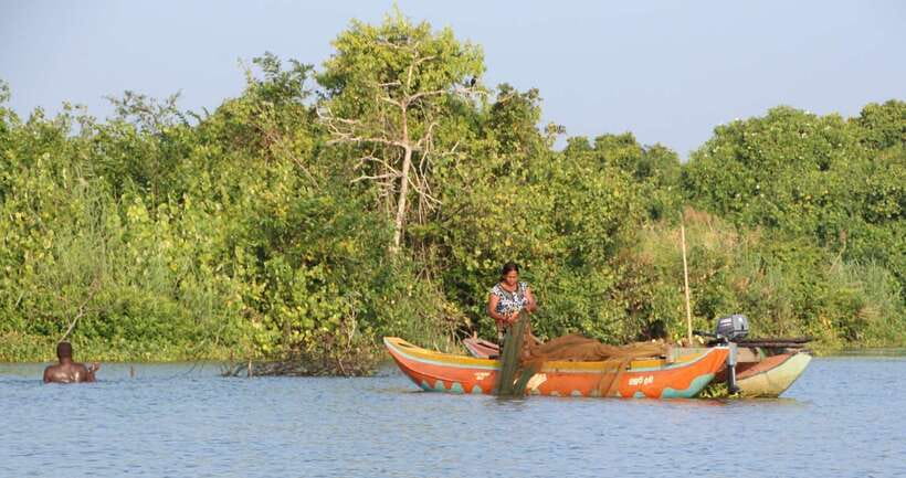 Negombo: Hamilton Canal to Colombo by Boat via Muthurajawela - Bird spotting, what to look for and how to make it easier