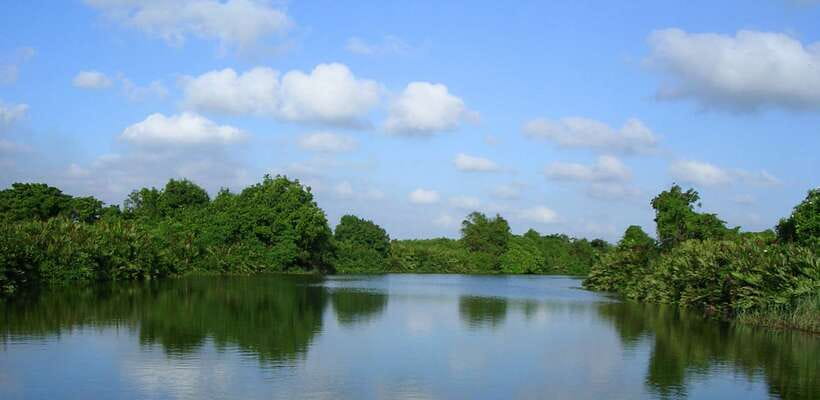 Negombo: Hamilton Canal to Colombo by Boat via Muthurajawela - Price and value: $80 for a private boat and guided wetland time