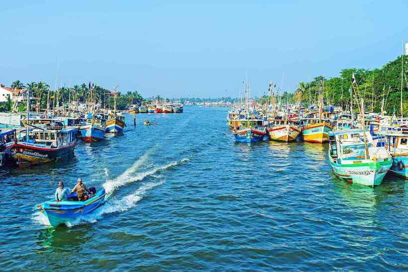 Negombo: Hamilton Canal to Colombo by Boat via Muthurajawela - Dutch Canal to Negombo Lagoon, about 45 minutes of slow looking
