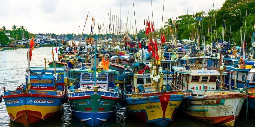 Negombo Heritage Walking Tour - Key Things You’ll Notice on This Negombo Walk